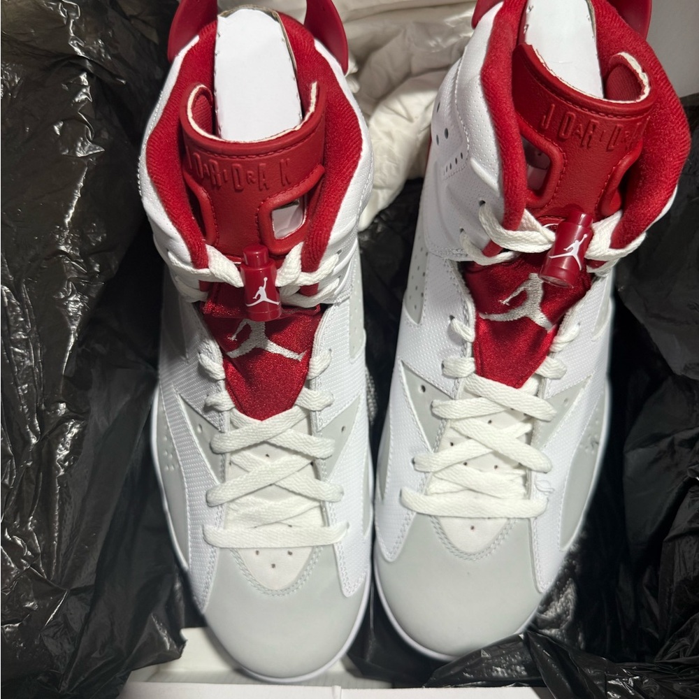 Jordan Retro 6